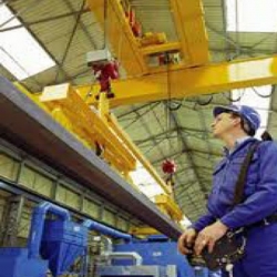Overhead Travelling Crane In-house Course